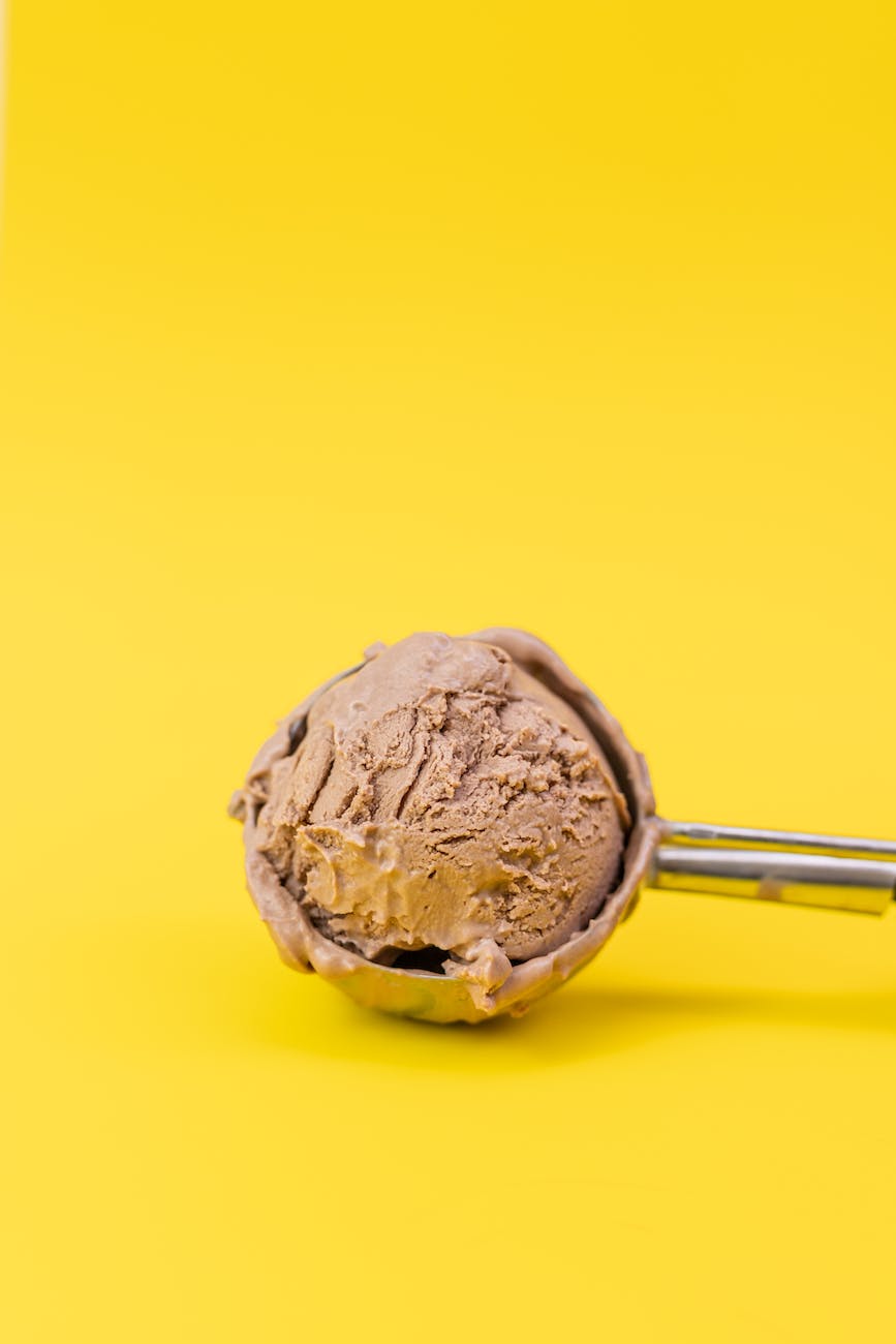 scoop of chocolate ice cream