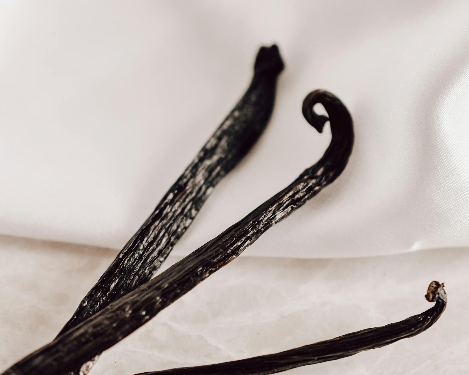 close up of vanilla beans